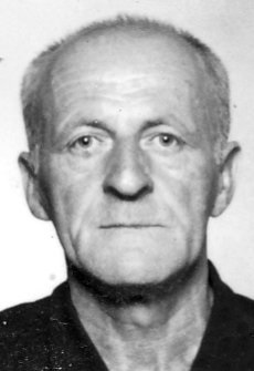 budanovic_marko