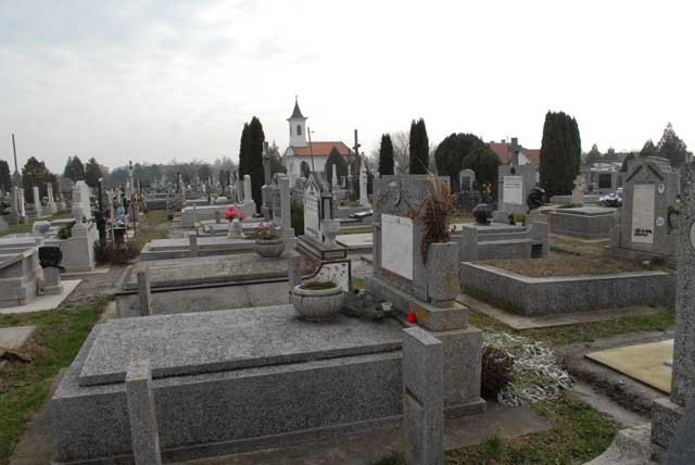 DSC_1063