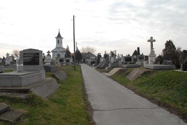 DSC_1069