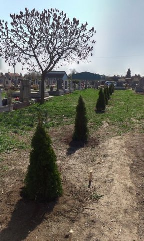 bajmok5