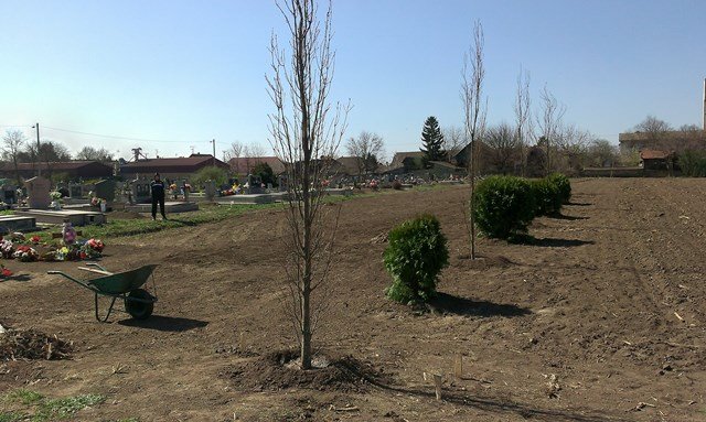 bajmok6