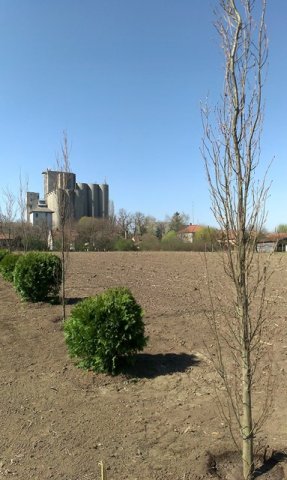 bajmok7