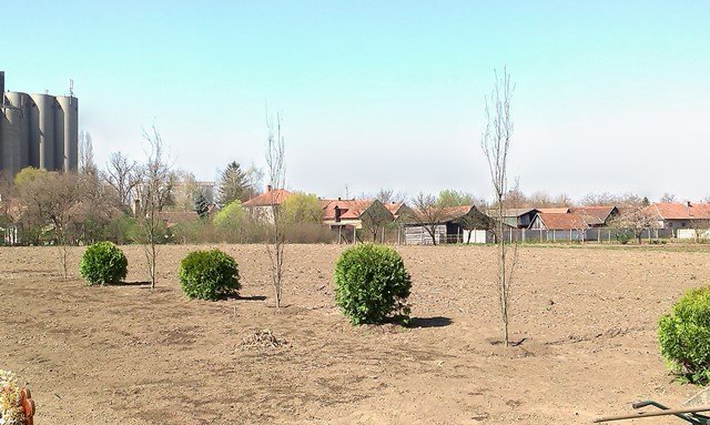 bajmok8