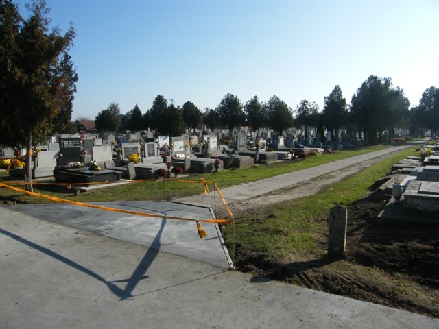 obnova24